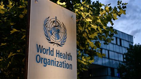 iloilo scandal com|WHO Reports On Sex Scandal Involving Its Staff During Congo's .